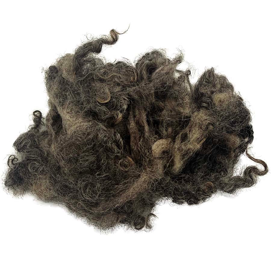 Clump of dark brown/grey fibers on a white background