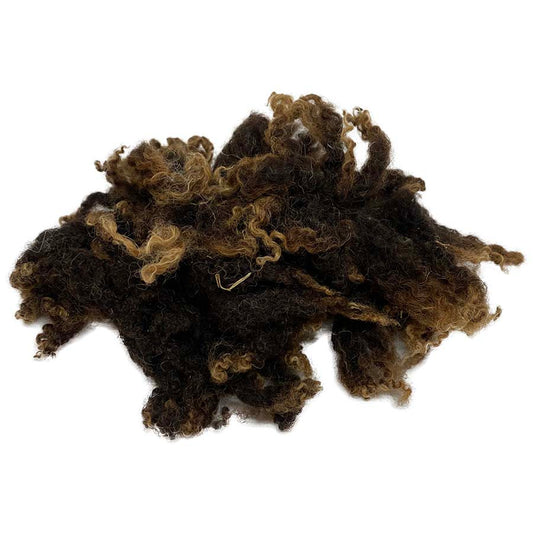 Bluefaced Leicester Locks (73) Natural Brown Shades Tiny Curls | 14g Felting Wool