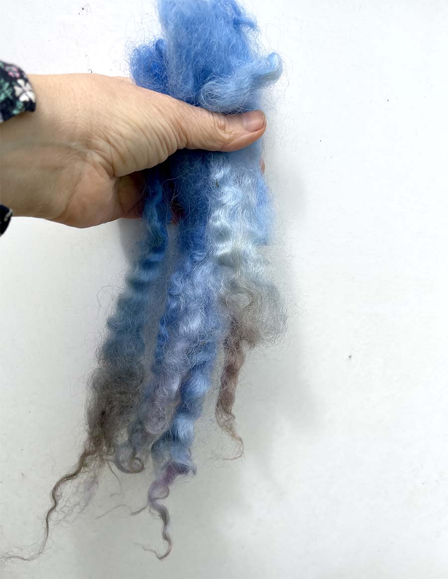 Curly Wool Locks Separated blue Fleece Leicester (73)