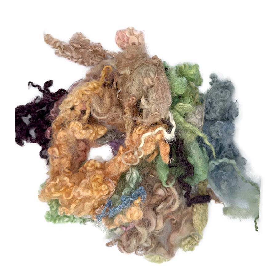Colourful mixed fleece seconds with curly wool locks spread on white