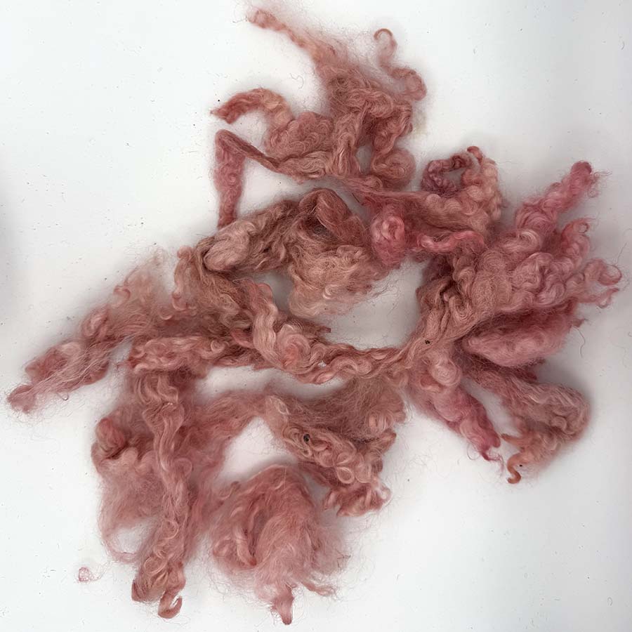 Pink Leicester Longwool seconds spread out to show mixed curls and shades