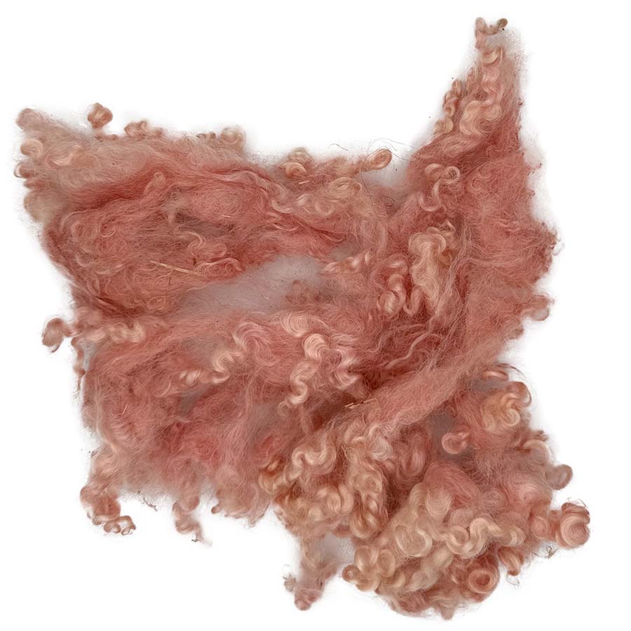 Peachy pink curly wool locks spread out to show mixed curls and shades