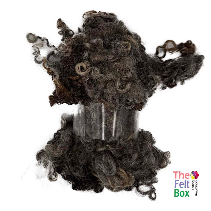 Natural grey brown Wensleydale wool locks #44 50g curly fleece