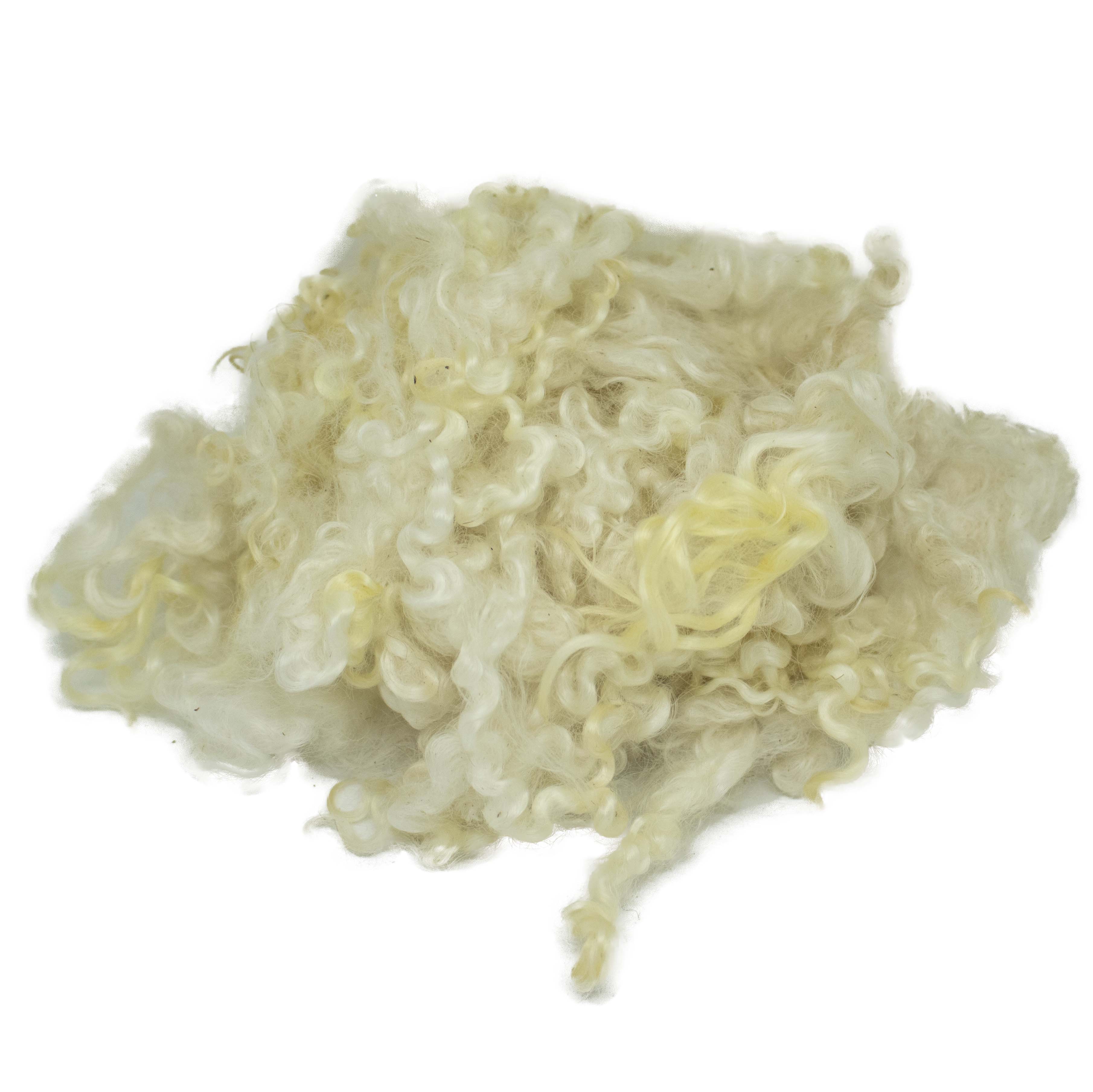 Premium Cream Wensleydale Wool Locks (81) | Natural Cream with Golden ...