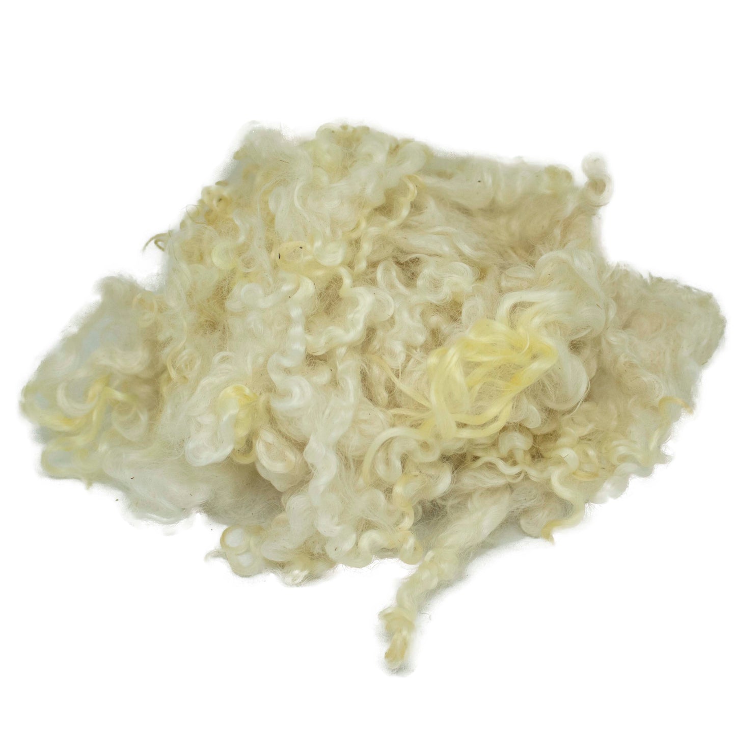 Premium Cream Wensleydale Wool Locks (81) | Natural Cream with Golden Tips | 50g