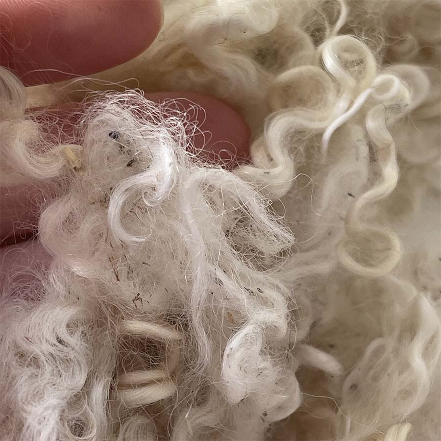 Wool Locks Fleece Wensleydale Cream Grass and Dirty Tips 28 g