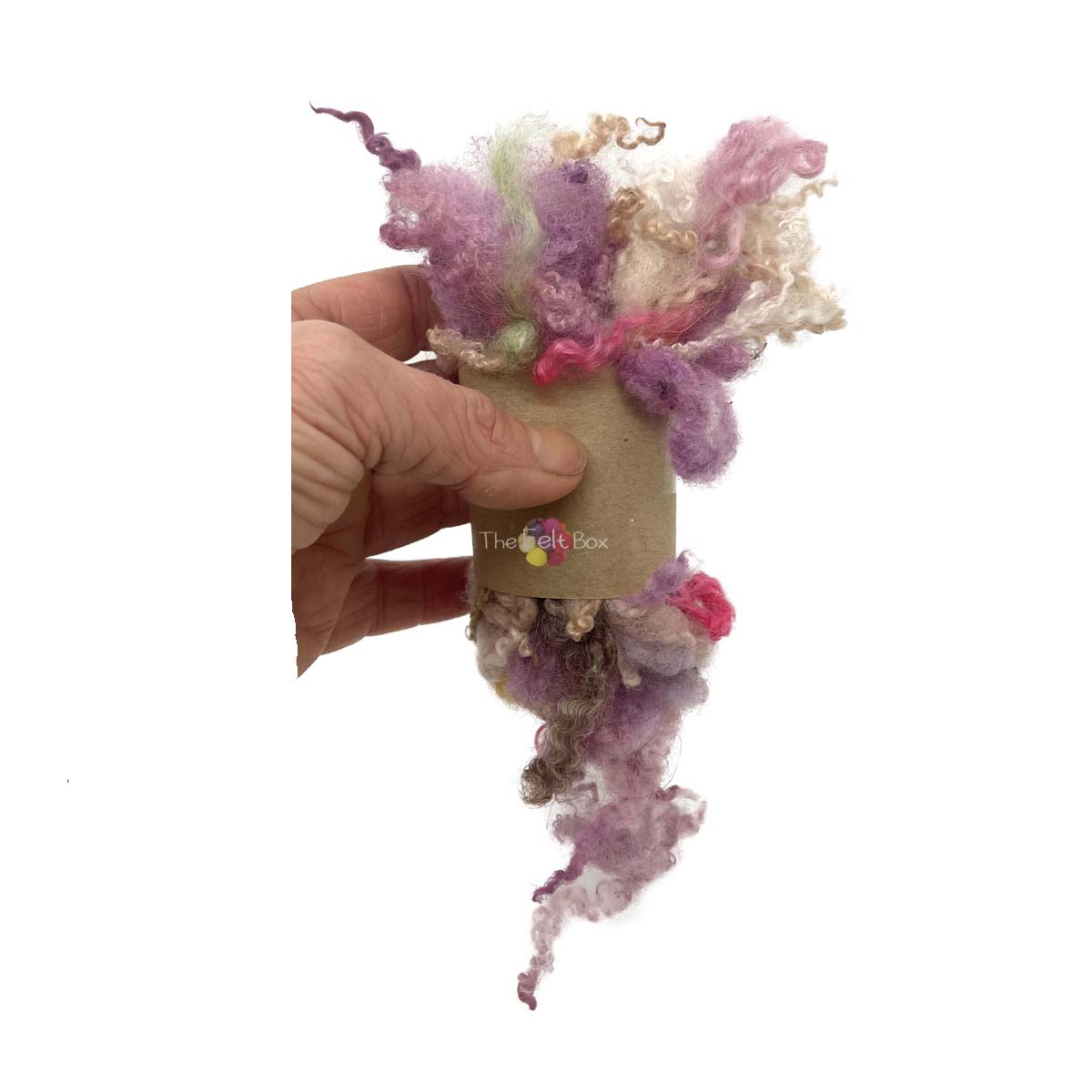 Multicoloured Wool Locks Fleece (59) | 14g Needle felting Supplies