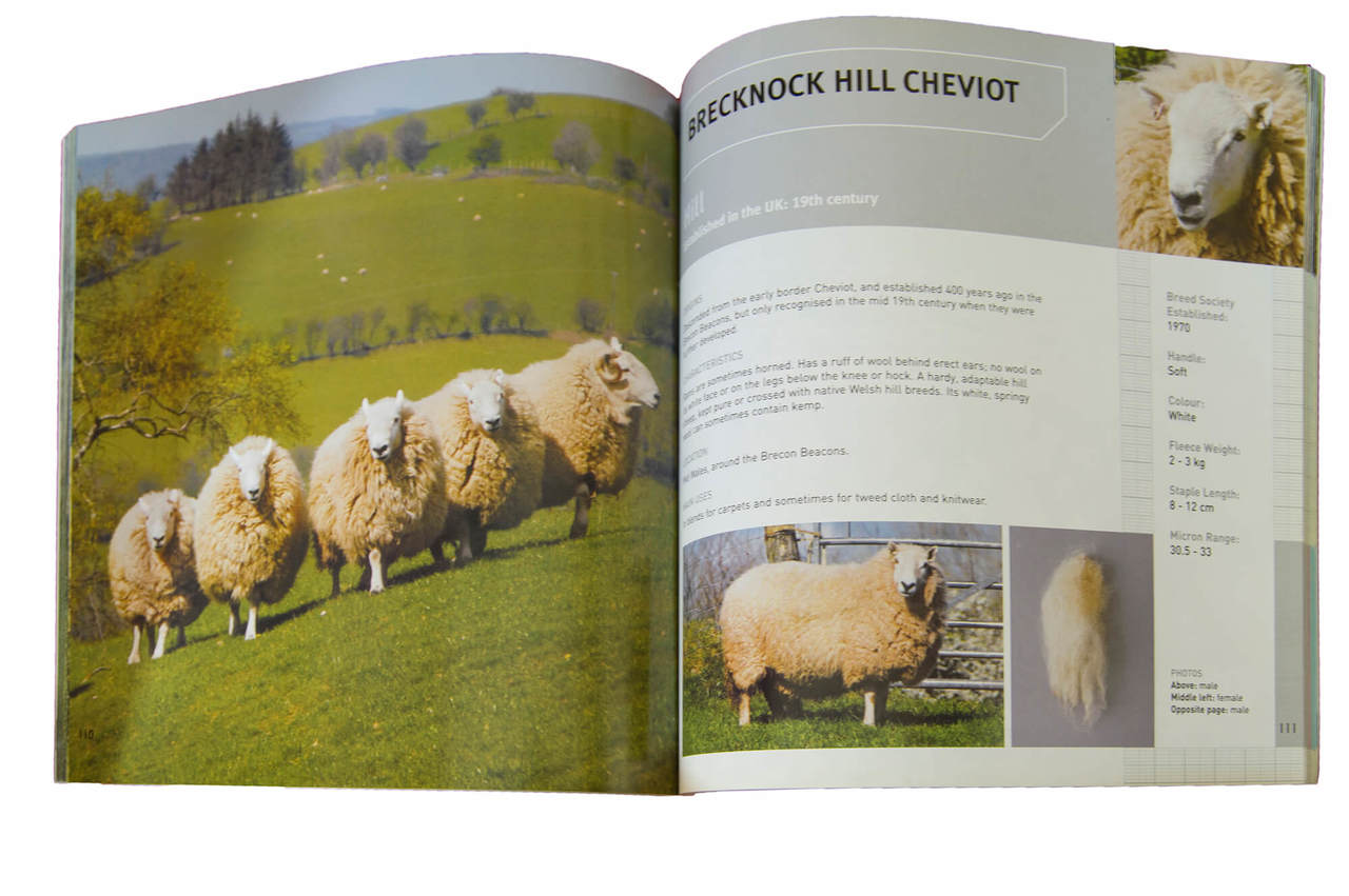 British Sheep & Wool A Guide British Sheep Breeds and Their Unique Wool 178 page