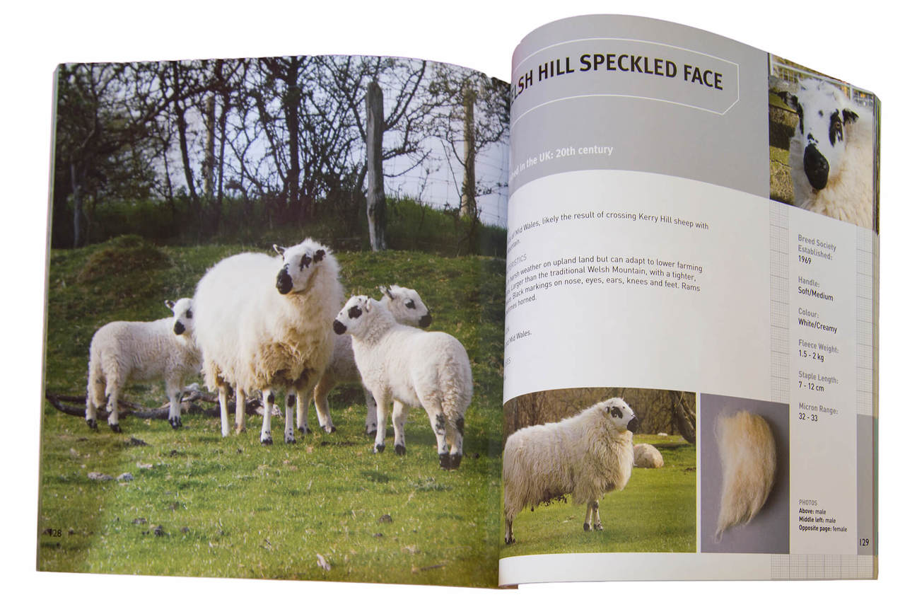 British Sheep & Wool A Guide British Sheep Breeds and Their Unique Wool 178 page