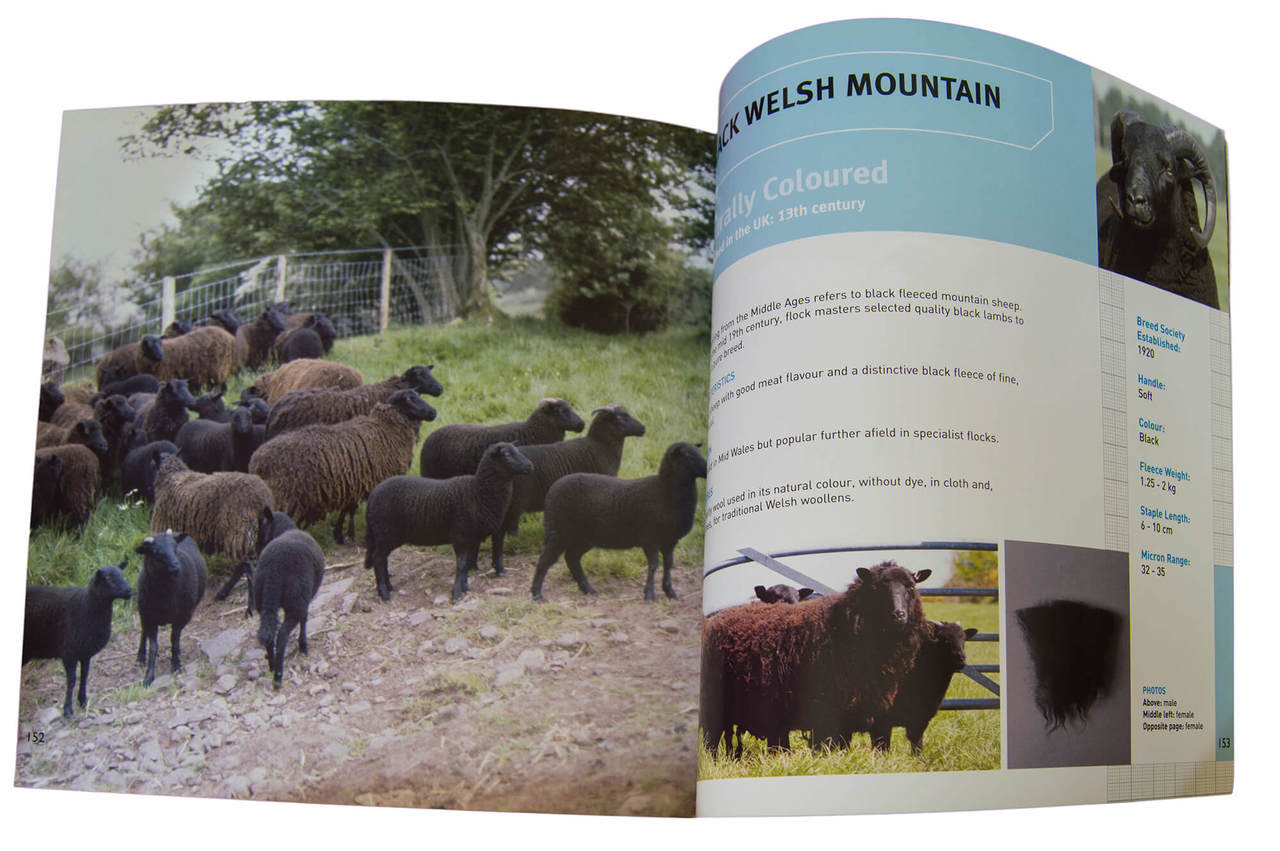 British Sheep & Wool A Guide British Sheep Breeds and Their Unique Wool 178 page