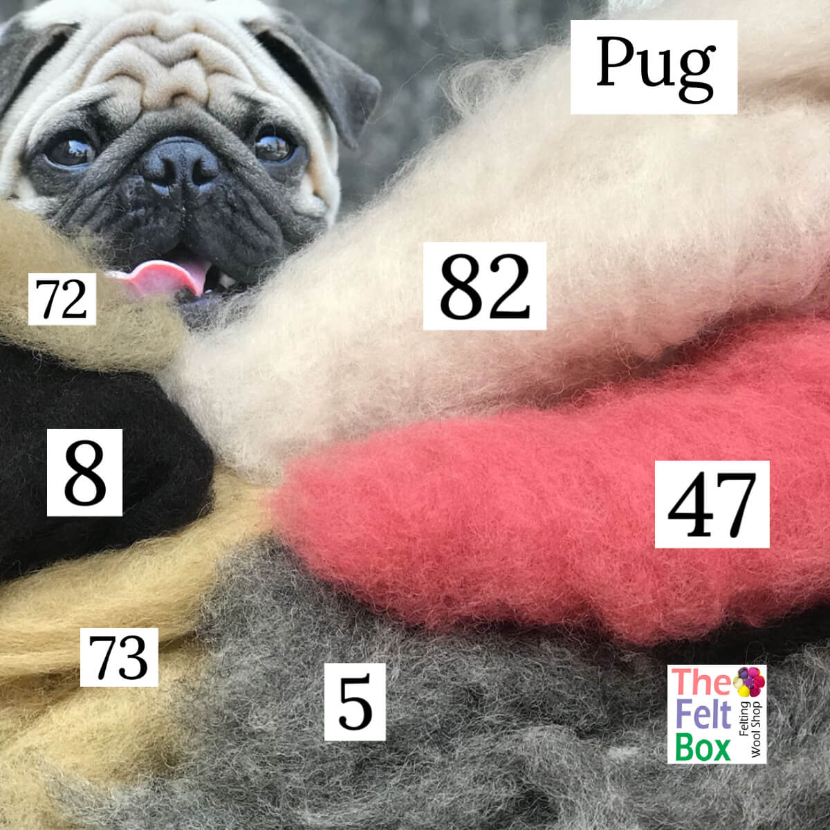 Felting Wool Set Pug Dog Wool Only 50g