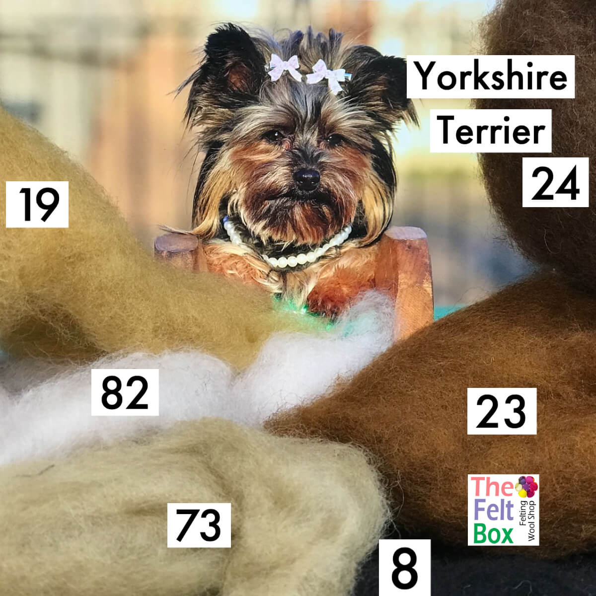 Felting Wool Set Yorkshire Terrier Dog Wool Only 50g