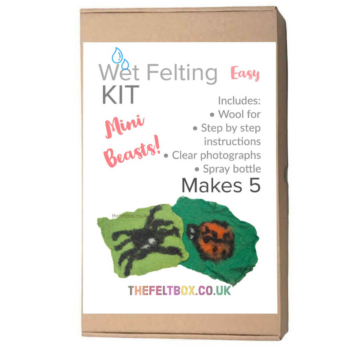 Mini Beast Wet Felting School Kit for 5 People