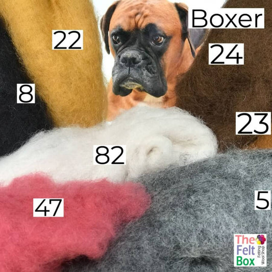 Felting Wool Set Boxer Wool Only 50g