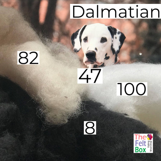 Felting Wool Set Dalmatian Wool Only 50g