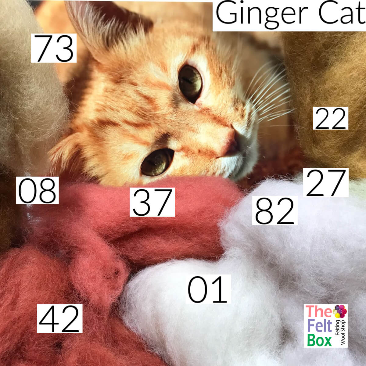 Felting Wool Set Ginger Cat Wool Only 50g