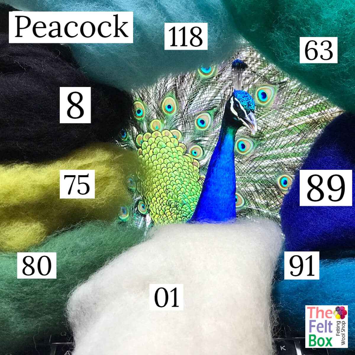 Felting Wool Set Peacock Wool Only 50g